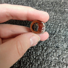 Load image into Gallery viewer, Red Lip Nerite Snail 3 Pack-Live Animals-Glass Grown-Pack of 3 Snails-Glass Grown Aquatics-Aquarium live fish plants, decor