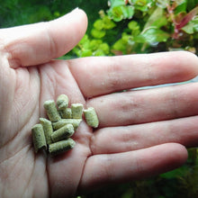 Load image into Gallery viewer, Shrimp Snowflake Treat-Fish Food-Glass Grown-30 Grams-Glass Grown Aquatics-Aquarium live fish plants, decor