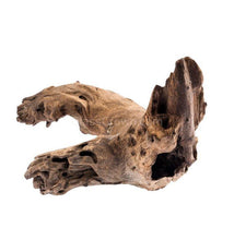 Load image into Gallery viewer, Mopane Congo Driftwood Small (6-10")-Fish Supplies-Glass Grown-Glass Grown Aquatics-Aquarium live fish plants, decor