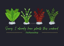 Load image into Gallery viewer, Sorry, I Already Have Plants This Weekend T-Shirt-Shirts & Tops-Glass Grown Aquatics-Black-S-Glass Grown Aquatics-Aquarium live fish plants, decor