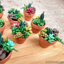 Load image into Gallery viewer, Tiny Terra-Cotta Succulent Aquarium Decor-Aquarium Decor-Glass Grown-Succulent pot only-Glass Grown Aquatics-Aquarium live fish plants, decor