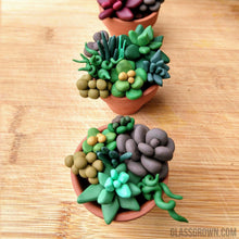 Load image into Gallery viewer, Tiny Terra-Cotta Succulent Aquarium Decor-Aquarium Decor-Glass Grown-Succulent pot only-Glass Grown Aquatics-Aquarium live fish plants, decor