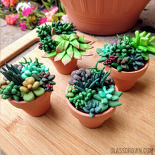 Load image into Gallery viewer, Tiny Terra-Cotta Succulent Aquarium Decor-Aquarium Decor-Glass Grown-Succulent pot only-Glass Grown Aquatics-Aquarium live fish plants, decor
