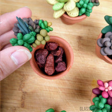 Load image into Gallery viewer, Tiny Terra-Cotta Succulent Aquarium Decor-Aquarium Decor-Glass Grown-Pot with Lava rocks-Glass Grown Aquatics-Aquarium live fish plants, decor