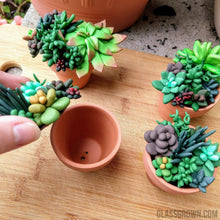 Load image into Gallery viewer, Tiny Terra-Cotta Succulent Aquarium Decor-Aquarium Decor-Glass Grown-Succulent pot only-Glass Grown Aquatics-Aquarium live fish plants, decor