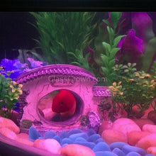 Load image into Gallery viewer, Moon Gate Resin Decoration-Aquarium Decor-Glass Grown Aquatics-Glass Grown Aquatics-Aquarium live fish plants, decor