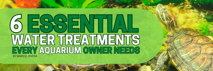 6 Essential Water Treatments Every Aquarium Owner Needs