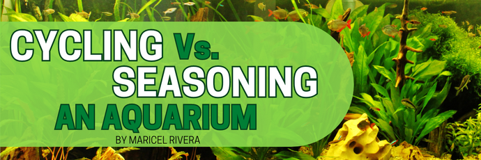 Cycling vs. Seasoning an Aquarium