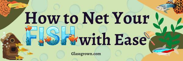 How to Net Your Fish With Ease
