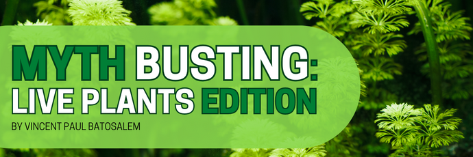 Myth Busting: Live Plants Edition