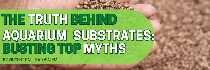 The Truth Behind Aquarium Substrates: Busting Top Myths