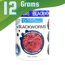 Load image into Gallery viewer, Aqua Natural Blackworms (sp. Tubifex - 12g)-Fish Food-Glass Grown Aquatics-Glass Grown Aquatics-Aquarium live fish plants, decor
