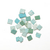 Calcium + Sweet and Savory Invert Food-Fish Food-Glass Grown Aquatics-Glass Grown Aquatics-Aquarium live fish plants, decor