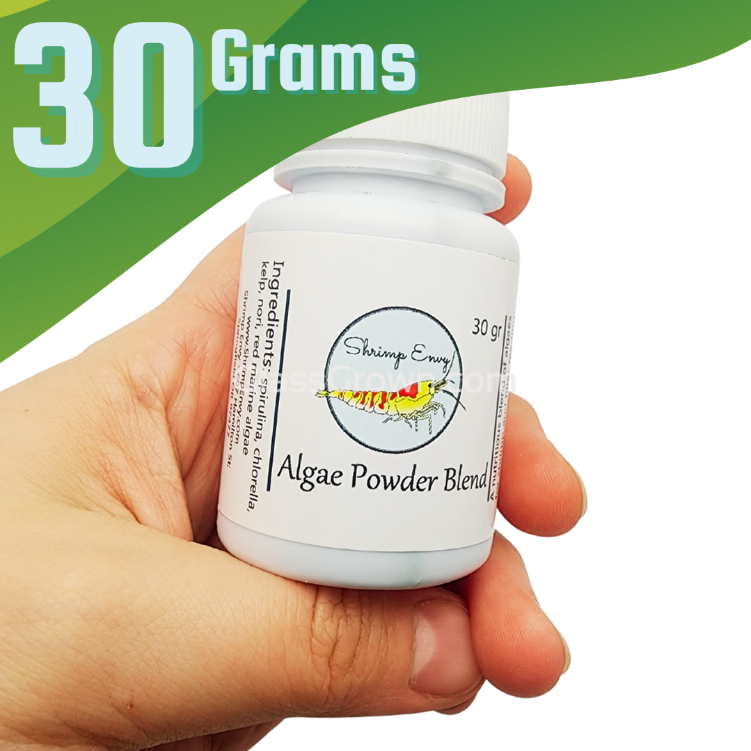 Shrimp Envy - Algae Powder Blend – Glass Grown Aquatics