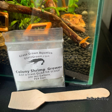 Load image into Gallery viewer, Colony Shrimp Grower Powdered Food Supplement-Fish Food-Glass Grown-6 Grams-Glass Grown Aquatics-Aquarium live fish plants, decor
