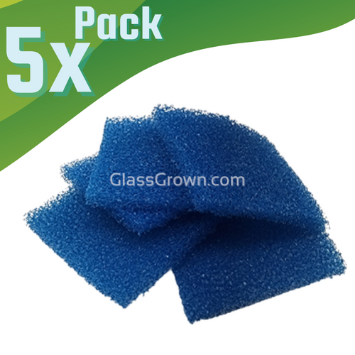 Coarse Sponge Filter Pads 5 Pack-Aquarium Filters-Glass Grown Aquatics-Glass Grown Aquatics-Aquarium live fish plants, decor