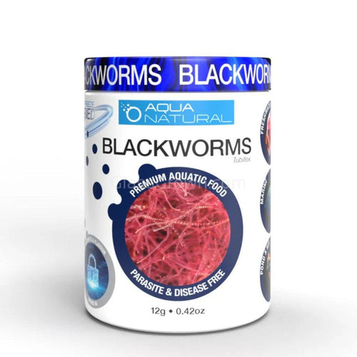 Aqua Natural Blackworms (sp. Tubifex - 12g)-Fish Food-Glass Grown Aquatics-Glass Grown Aquatics-Aquarium live fish plants, decor