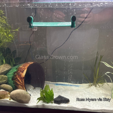 Load image into Gallery viewer, Axolotl Lower Light Plant Bundle (4 plants)-Aquatic Plants-Glass Grown-Single Pack (4 plants)-Ten Root Tabs-Glass Grown Aquatics-Aquarium live fish plants, decor
