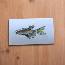 Load image into Gallery viewer, Pick your own nano fish sticker-Decorative Stickers-Glass Grown-Celestial Pearl Danio #026-Glass Grown Aquatics-Aquarium live fish plants, decor
