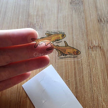 Load image into Gallery viewer, Pick your own nano fish sticker-Decorative Stickers-Glass Grown-Celestial Pearl Danio #026-Glass Grown Aquatics-Aquarium live fish plants, decor
