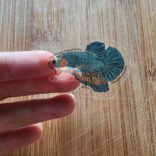 Load image into Gallery viewer, Pick your own nano fish sticker-Decorative Stickers-Glass Grown-Celestial Pearl Danio #026-Glass Grown Aquatics-Aquarium live fish plants, decor
