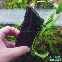 Load and play video in Gallery viewer, Driftwood Anubias
