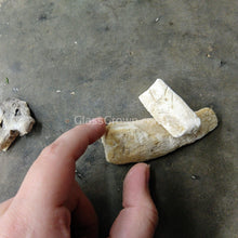 Load image into Gallery viewer, 1 CENT SAMPLE 4g Cuttlebone Chunk-Aquarium Decor-Glass Grown-Glass Grown Aquatics-Aquarium live fish plants, decor
