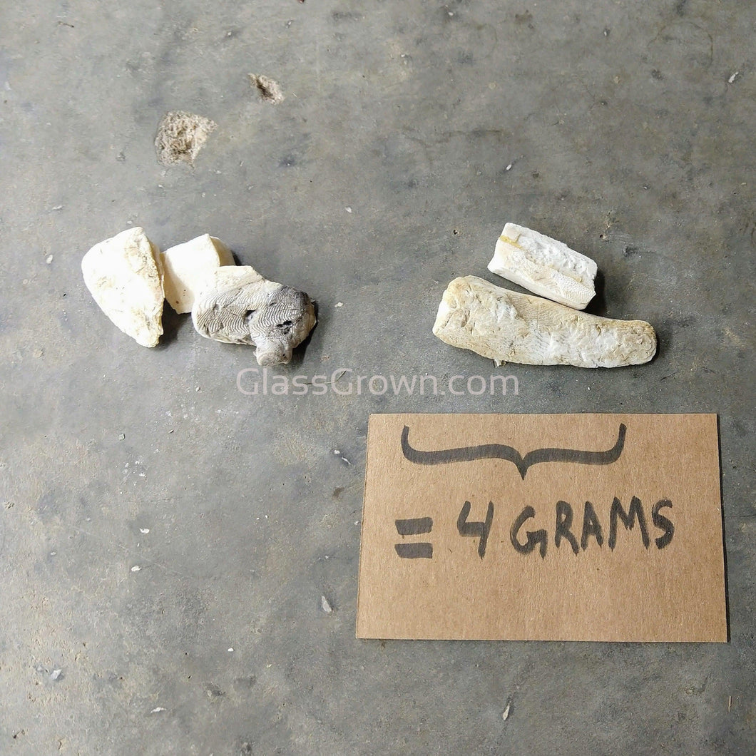 1 CENT SAMPLE 4g Cuttlebone Chunk-Aquarium Decor-Glass Grown-Glass Grown Aquatics-Aquarium live fish plants, decor