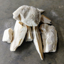 Load image into Gallery viewer, 1 CENT SAMPLE 4g Cuttlebone Chunk-Aquarium Decor-Glass Grown-Glass Grown Aquatics-Aquarium live fish plants, decor
