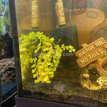 Load image into Gallery viewer, 1 CENT SAMPLE Golden lloydiella 'Golden Jenny' Stem-Aquatic Plants-Glass Grown-Glass Grown Aquatics-Aquarium live fish plants, decor
