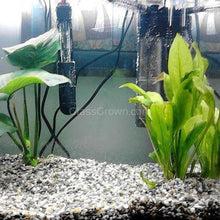 Load image into Gallery viewer, Goldfish Plant Bundle (5 plants)-Aquatic Plants-Glass Grown-Single Pack (5 Plants)-Both Please!-Glass Grown Aquatics-Aquarium live fish plants, decor
