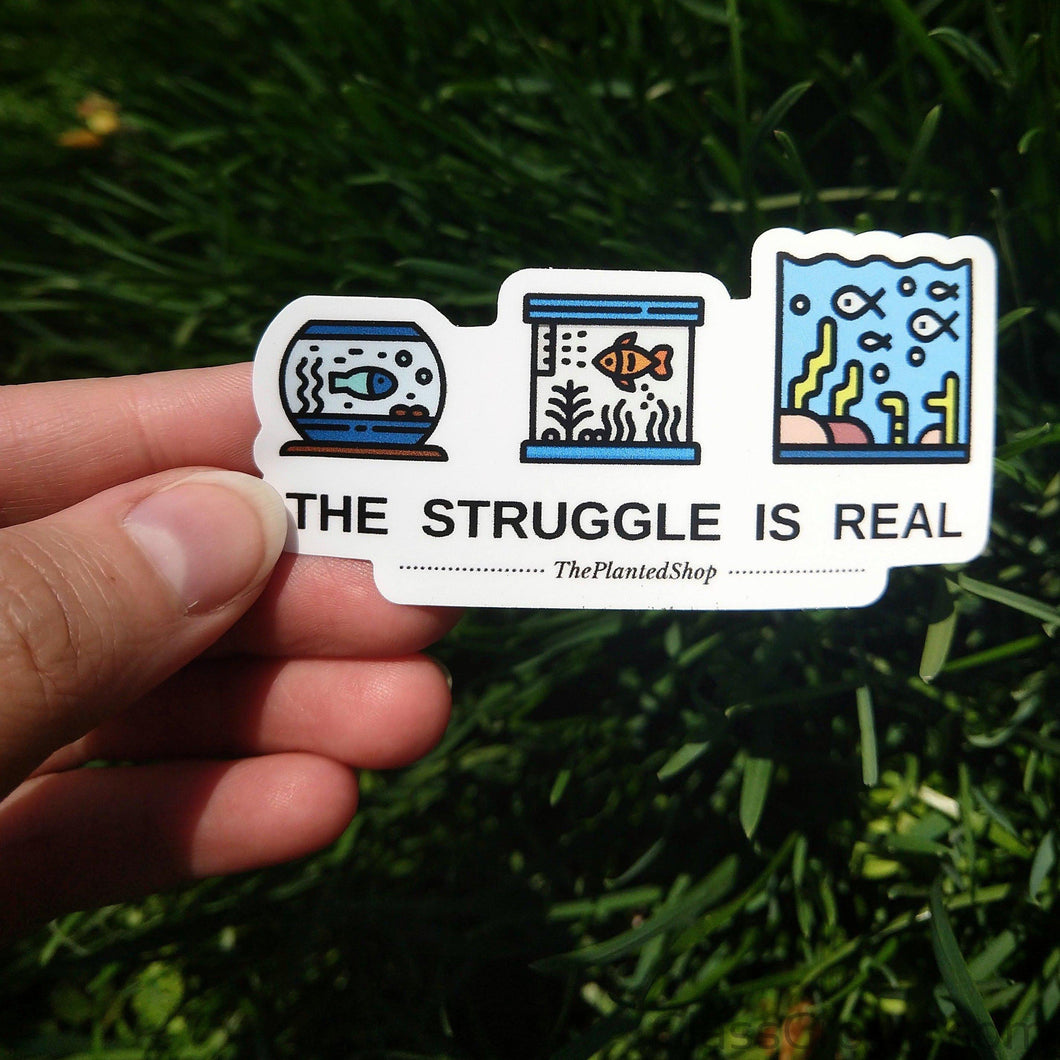 Colorful Fish Tank Struggles Decal Sticker-Decorative Stickers-Glass Grown-3