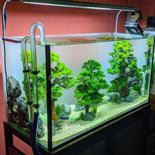 Load image into Gallery viewer, Dragonwood Bonsai Wood Nano Size 6&quot;-Aquarium Decor-Glass Grown-Glass Grown Aquatics-Aquarium live fish plants, decor
