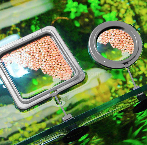 Suction Cup Floating Ring-Glass Grown Aquatics-Square-Glass Grown Aquatics-Aquarium live fish plants, decor