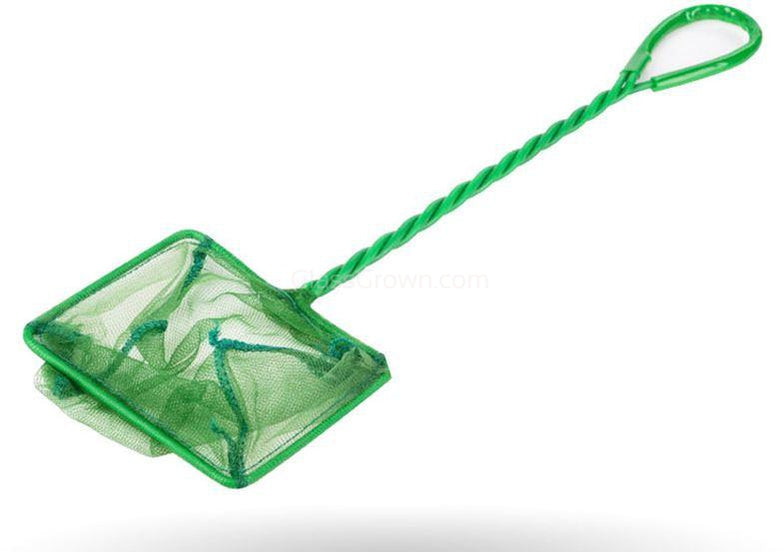 Green Mesh Net 12" Glass Grown Aquatics Green Mesh Net 12" Glass Grown Aquatics