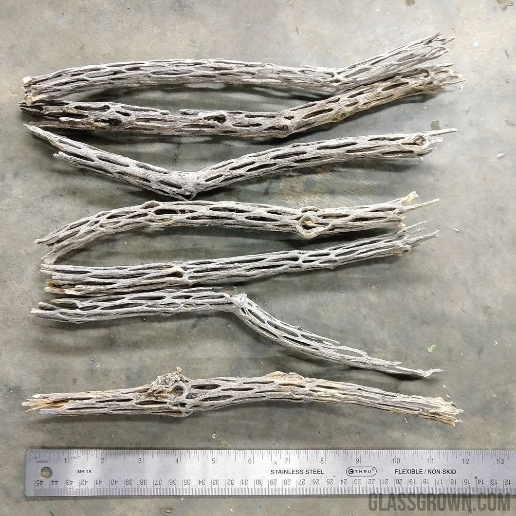 Organic Cholla Wood Logs-Aquarium Decor-Glass Grown-10