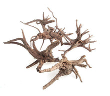 Load image into Gallery viewer, Spiderwood Driftwood Small (4-6&quot;)-Aquarium Decor-Glass Grown-Glass Grown Aquatics-Aquarium live fish plants, decor
