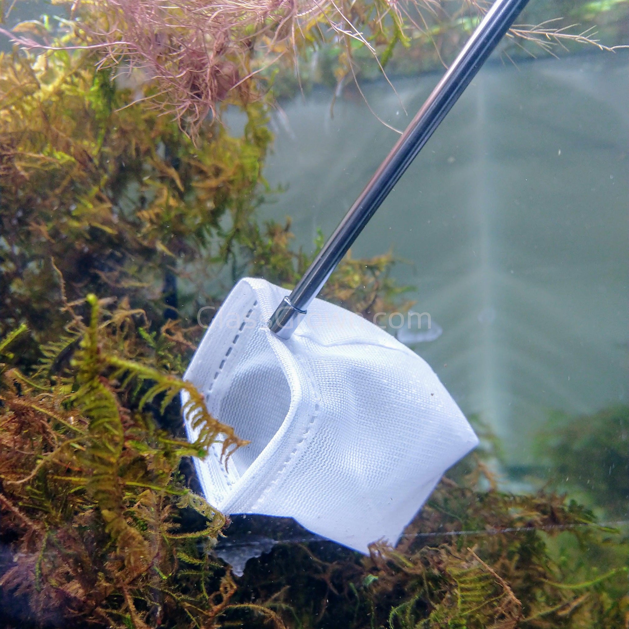 clear tropical fish net Telescoping Shrimp Net – Fine Mesh for Nano Tanks