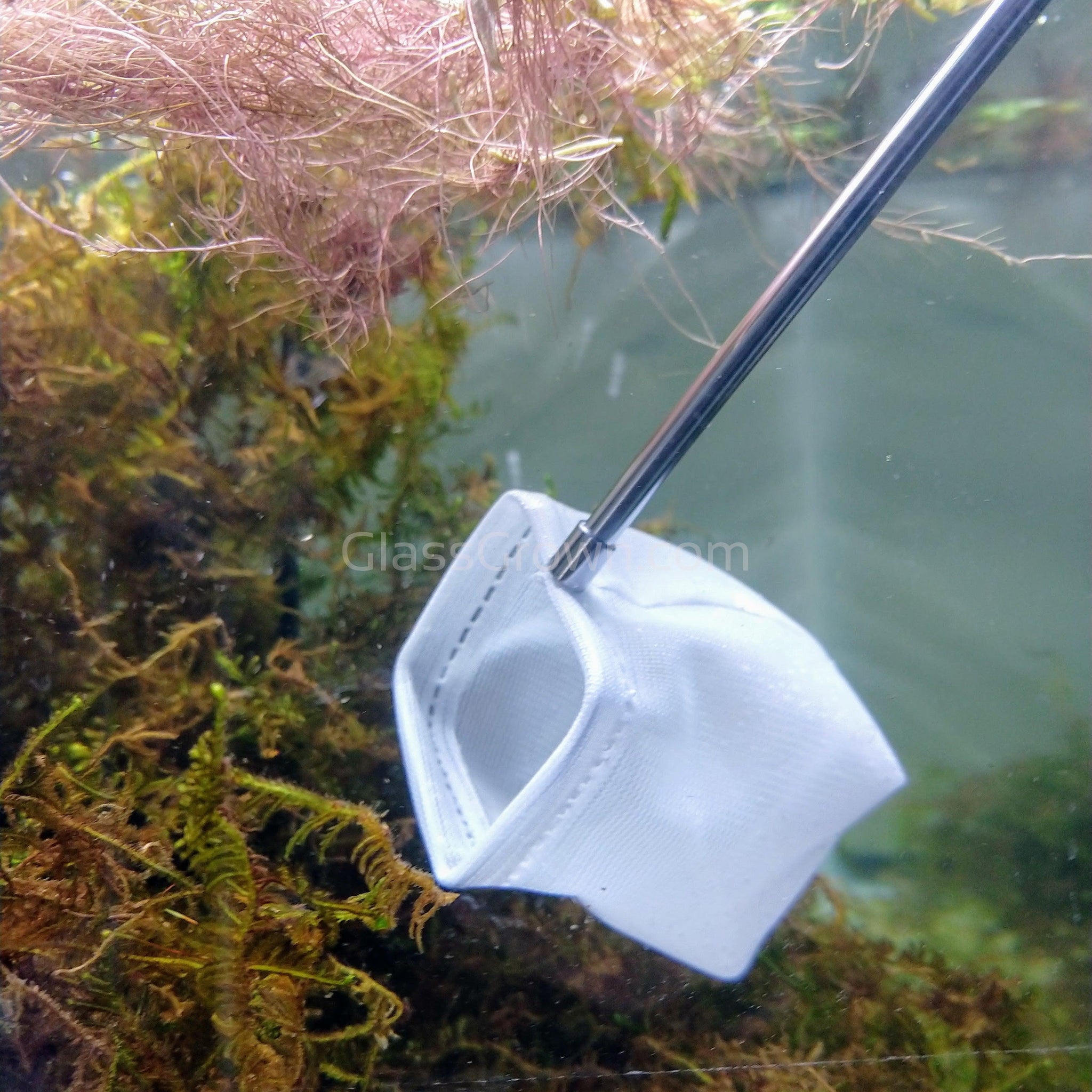 clear fish netting Telescoping Shrimp Net – Fine Mesh for Nano Tanks