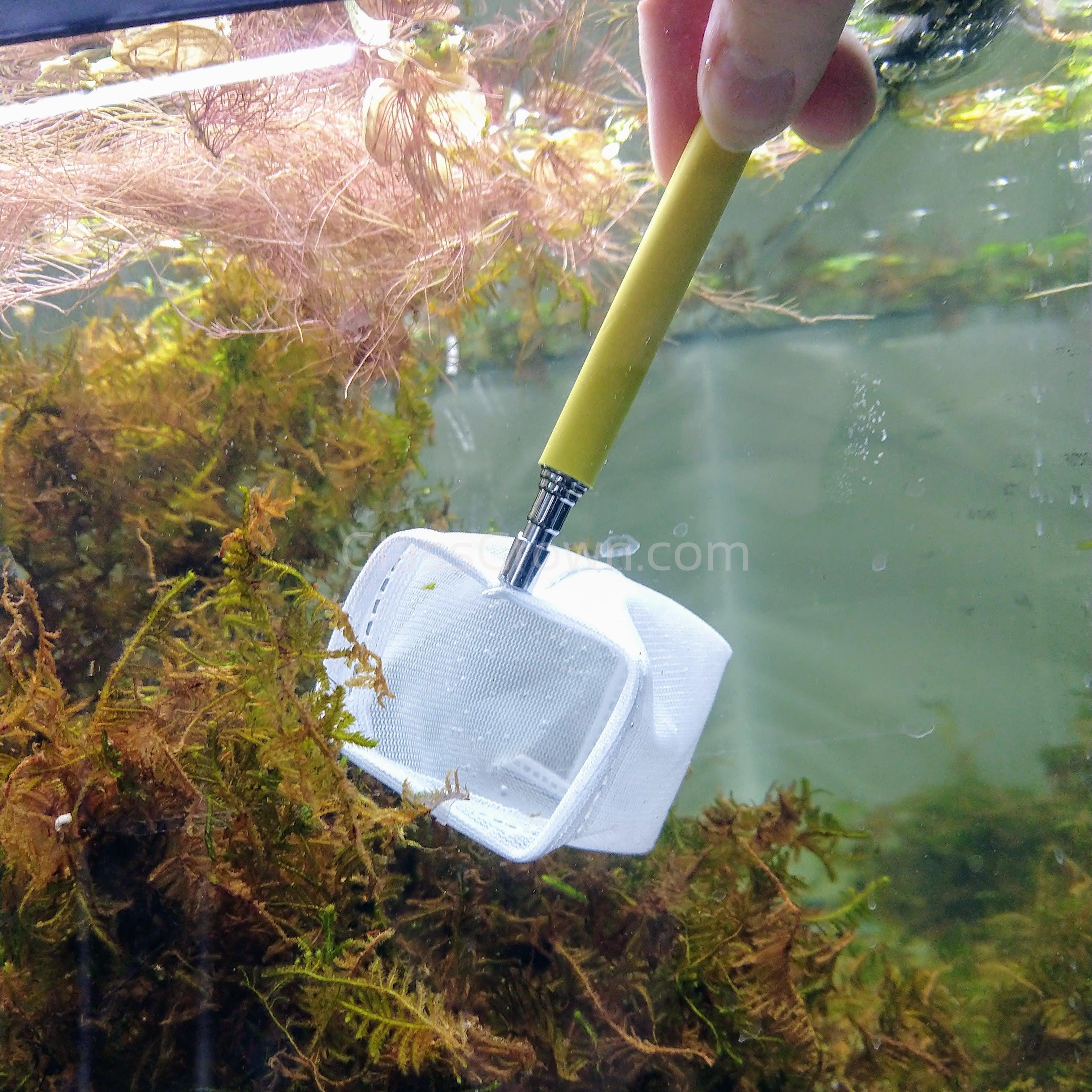 Telescoping Shrimp Net – Fine Mesh for Nano Tanks