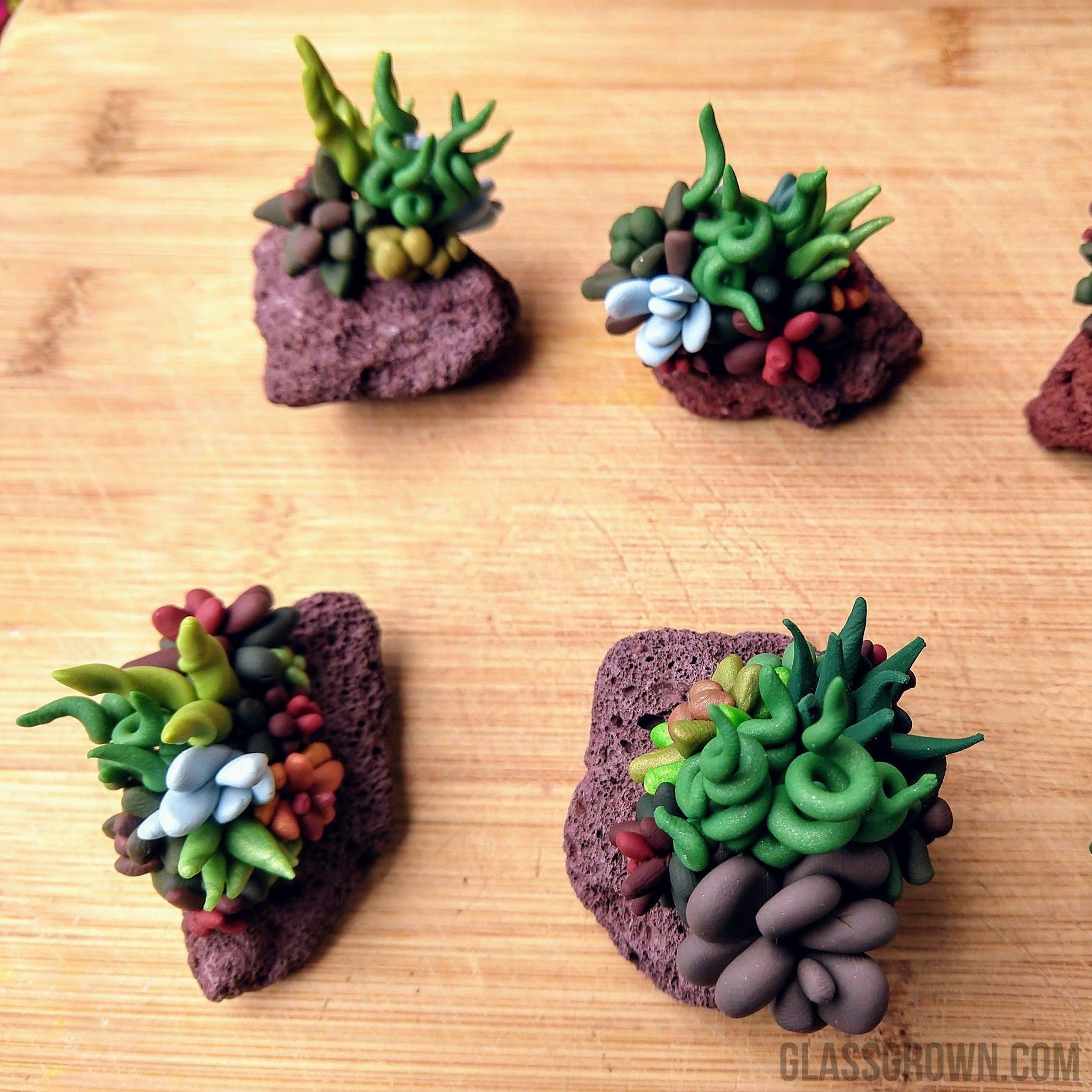 succulents lava rock Tiny Succulent Lava Rock Decor – Glass Grown Aquatics