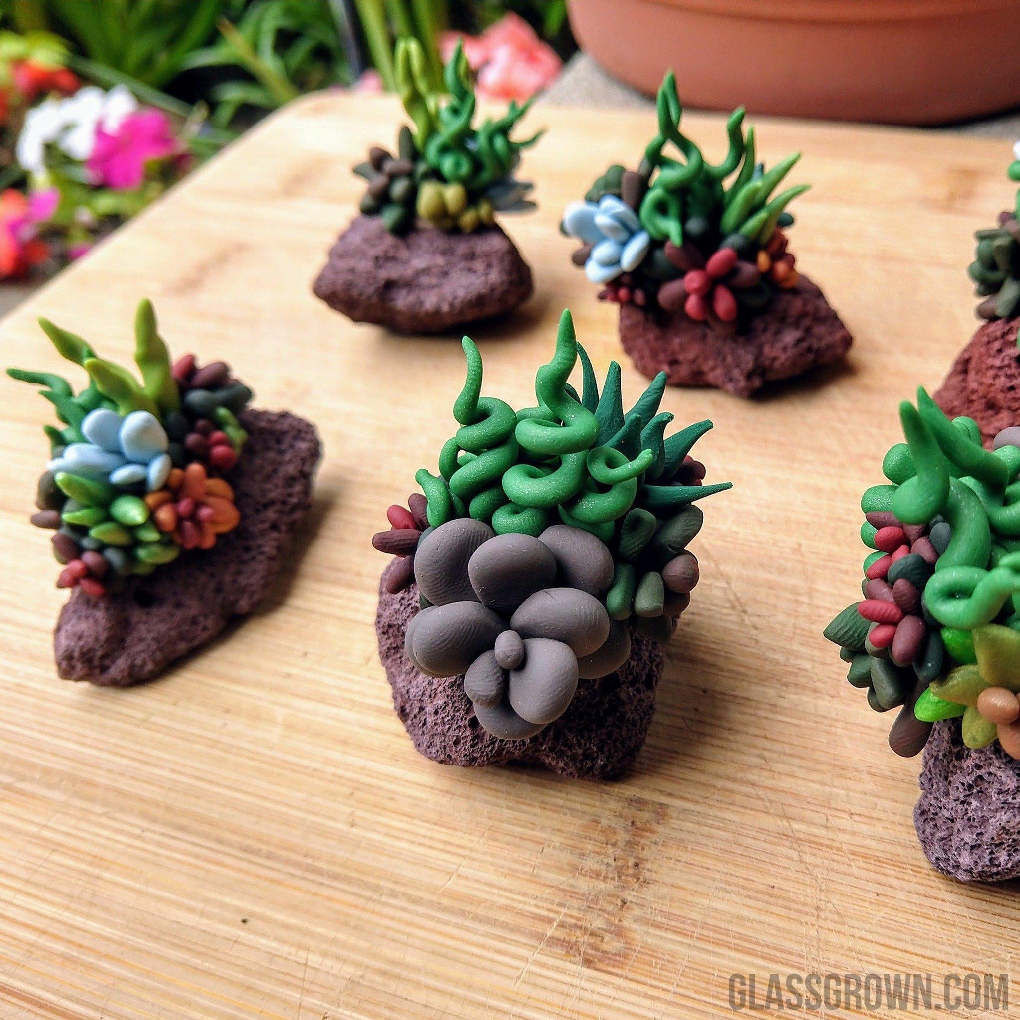 is lava rock good for succulents Tiny Succulent Lava Rock Decor – Glass Grown Aquatics