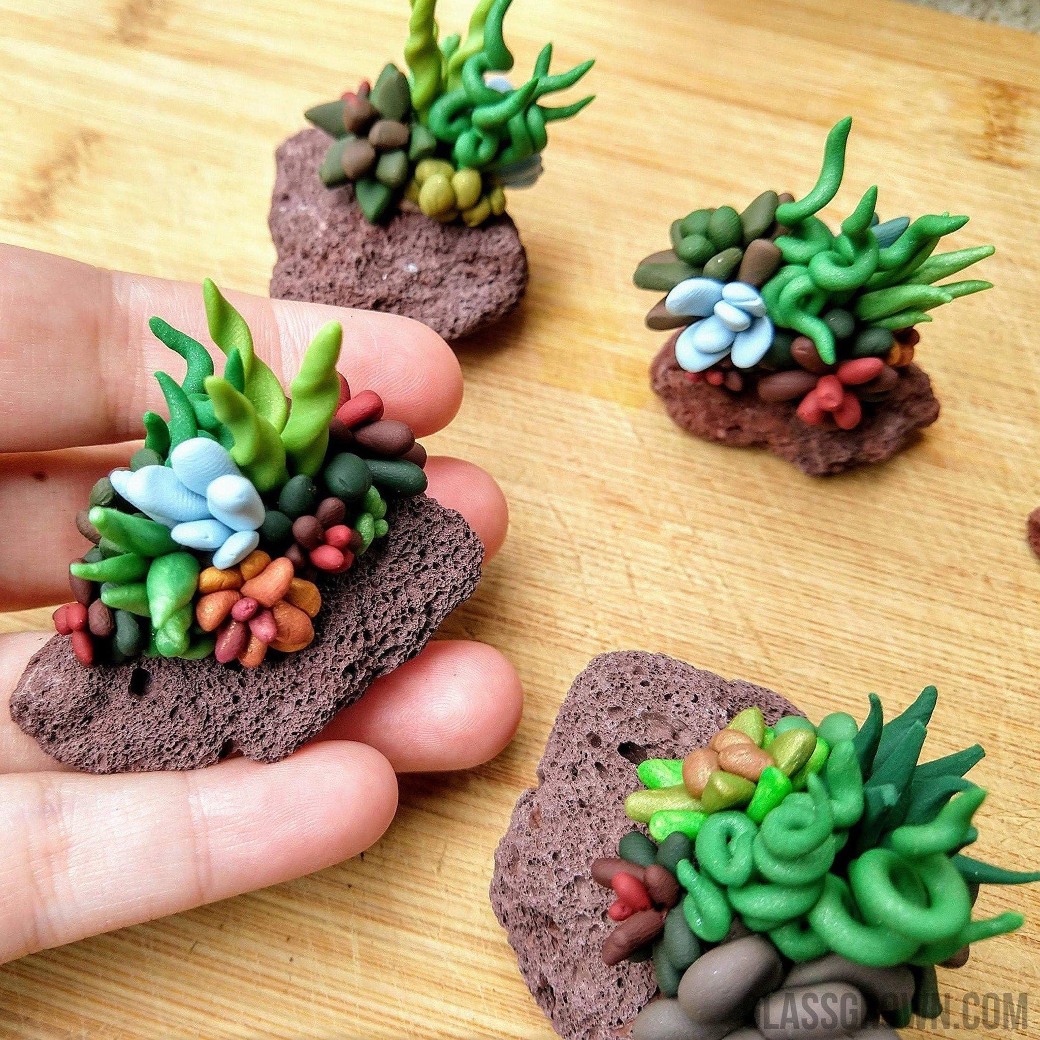 succulent plants in aquarium Tiny Succulent Lava Rock Decor – Glass Grown Aquatics
