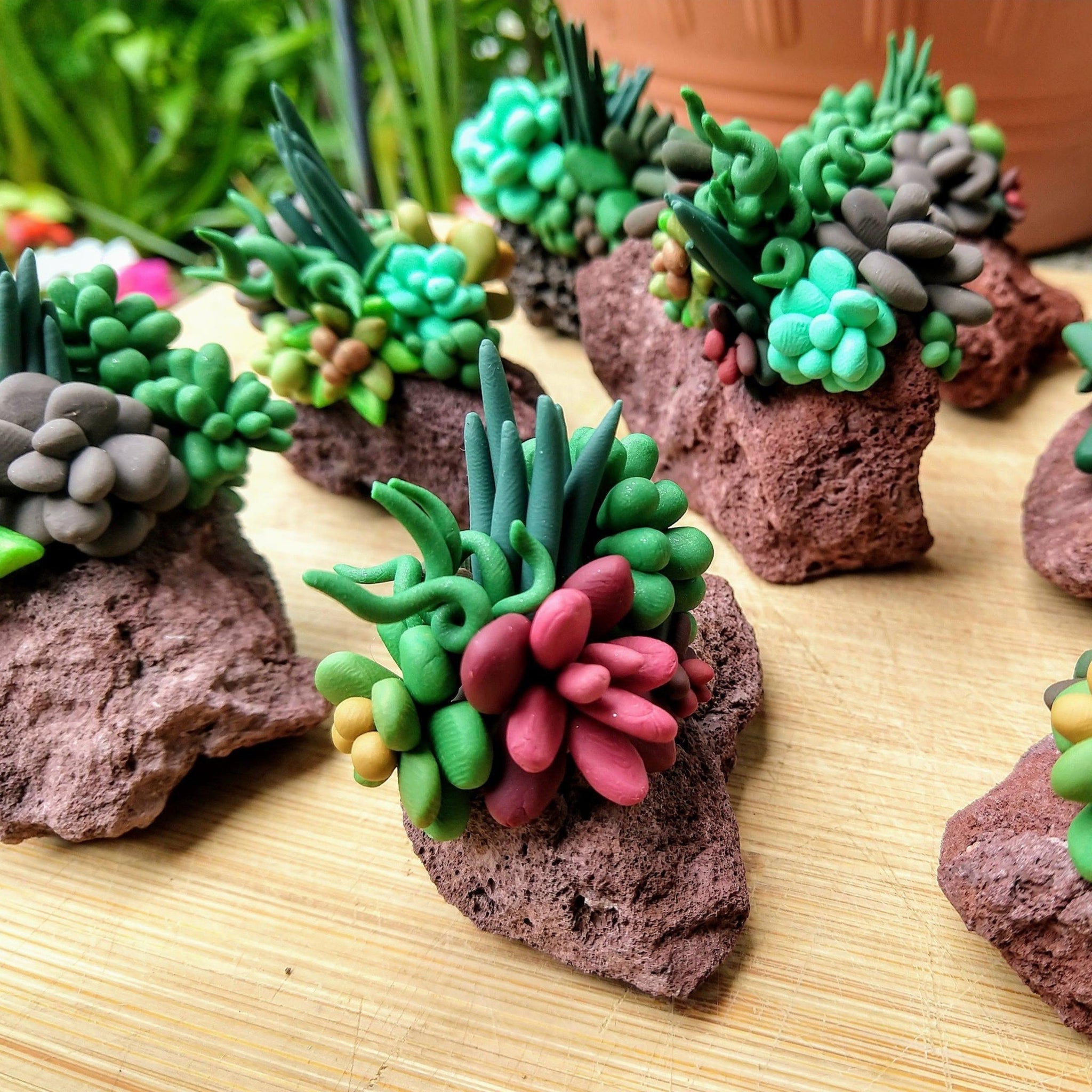 succulent plants in aquarium Tiny Succulent Rock Decor – Glass Grown Aquatics