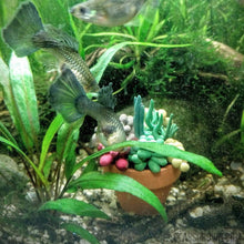 Load image into Gallery viewer, Tiny Terra-Cotta Succulent Aquarium Decor-Aquarium Decor-Glass Grown-Succulent pot only-Glass Grown Aquatics-Aquarium live fish plants, decor
