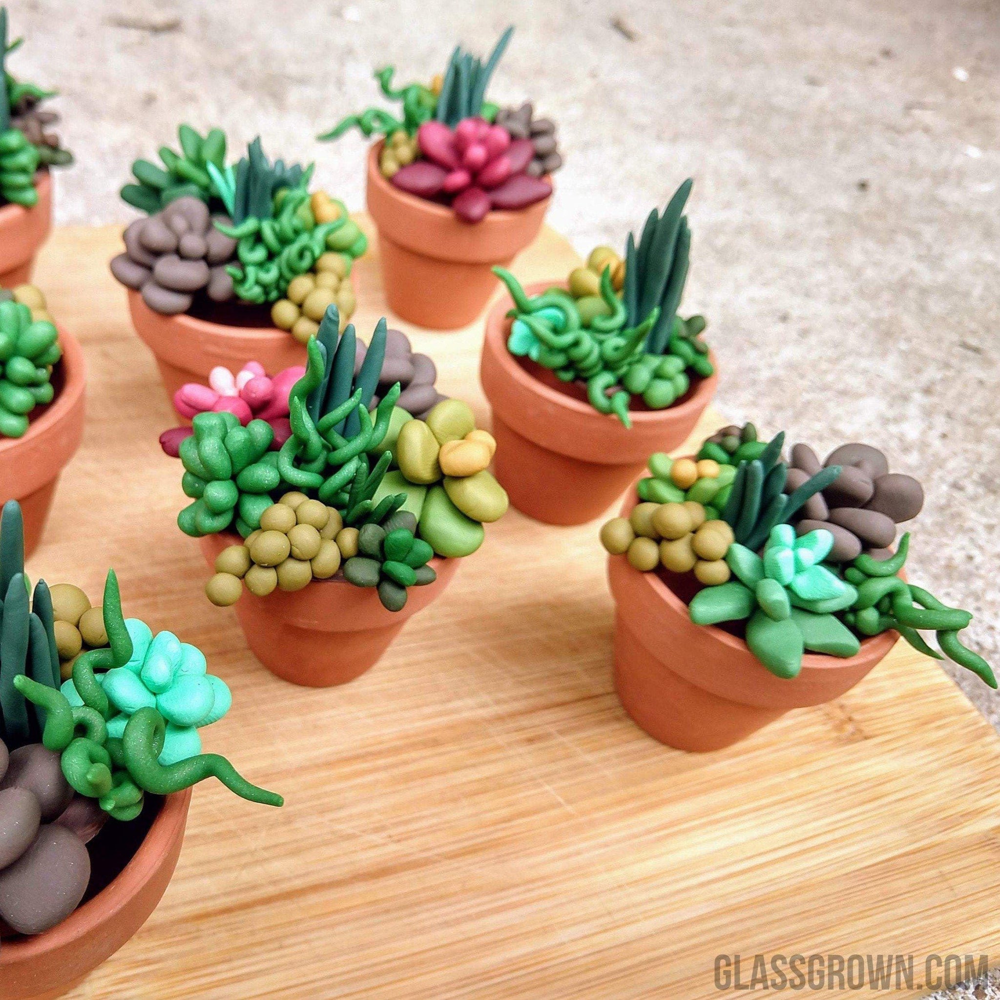 tiny planters for succulents Tiny Terra-Cotta Succulent Aquarium Decor – Glass Grown Aquatics