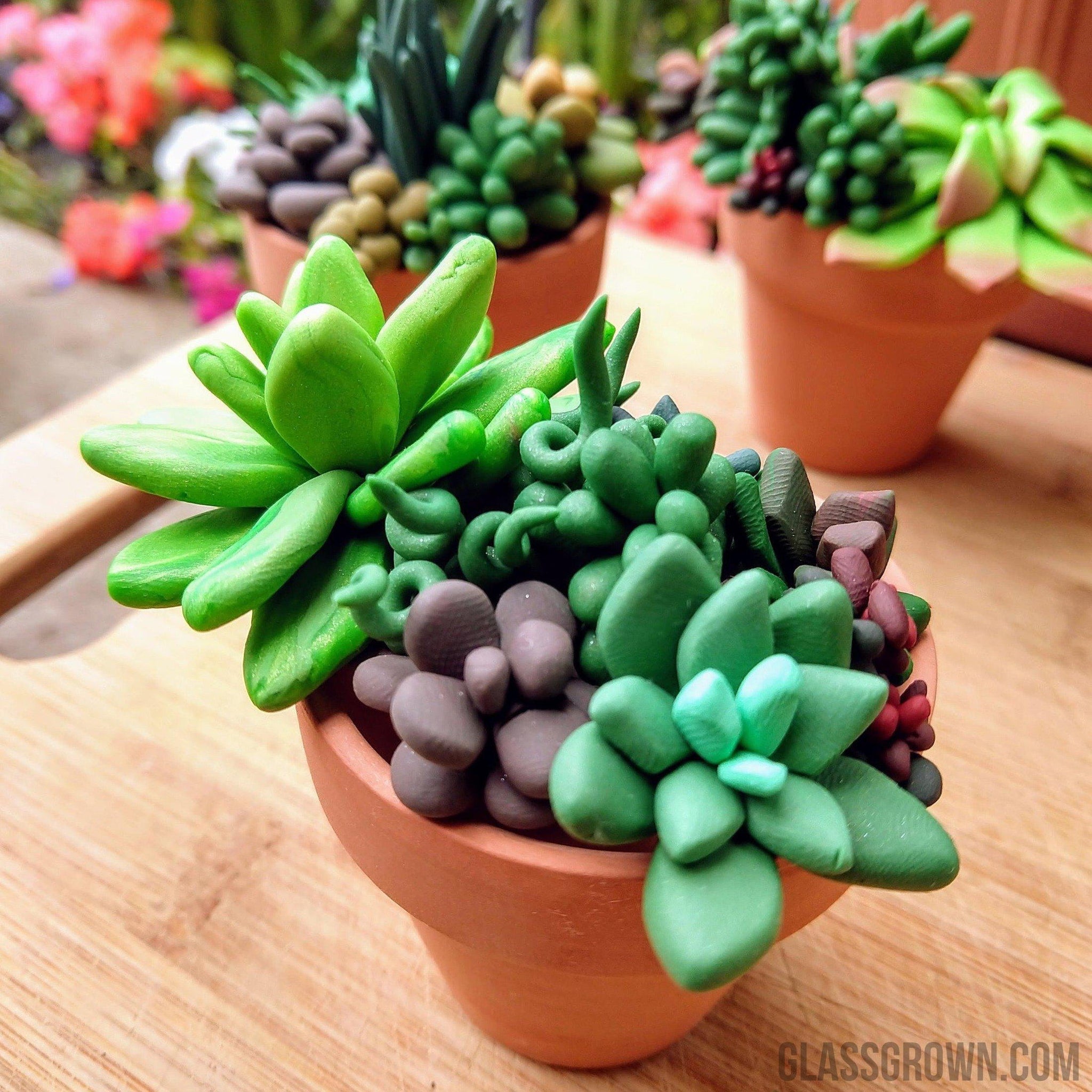 succulent plants in aquarium Tiny Terra-Cotta Succulent Aquarium Decor – Glass Grown Aquatics