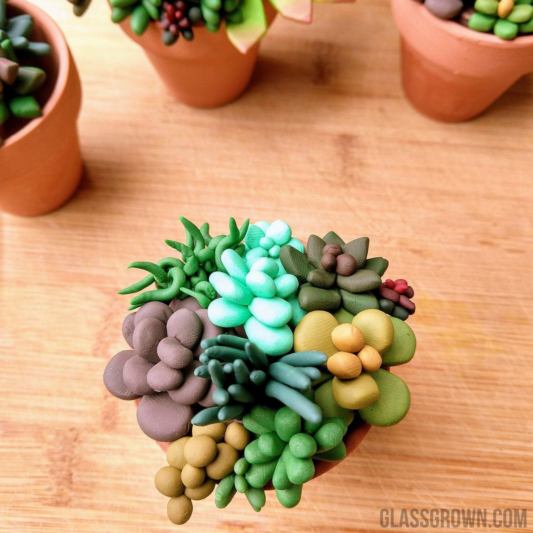 polymer clay succulent pot Tiny Terra-Cotta Succulent Aquarium Decor – Glass Grown Aquatics