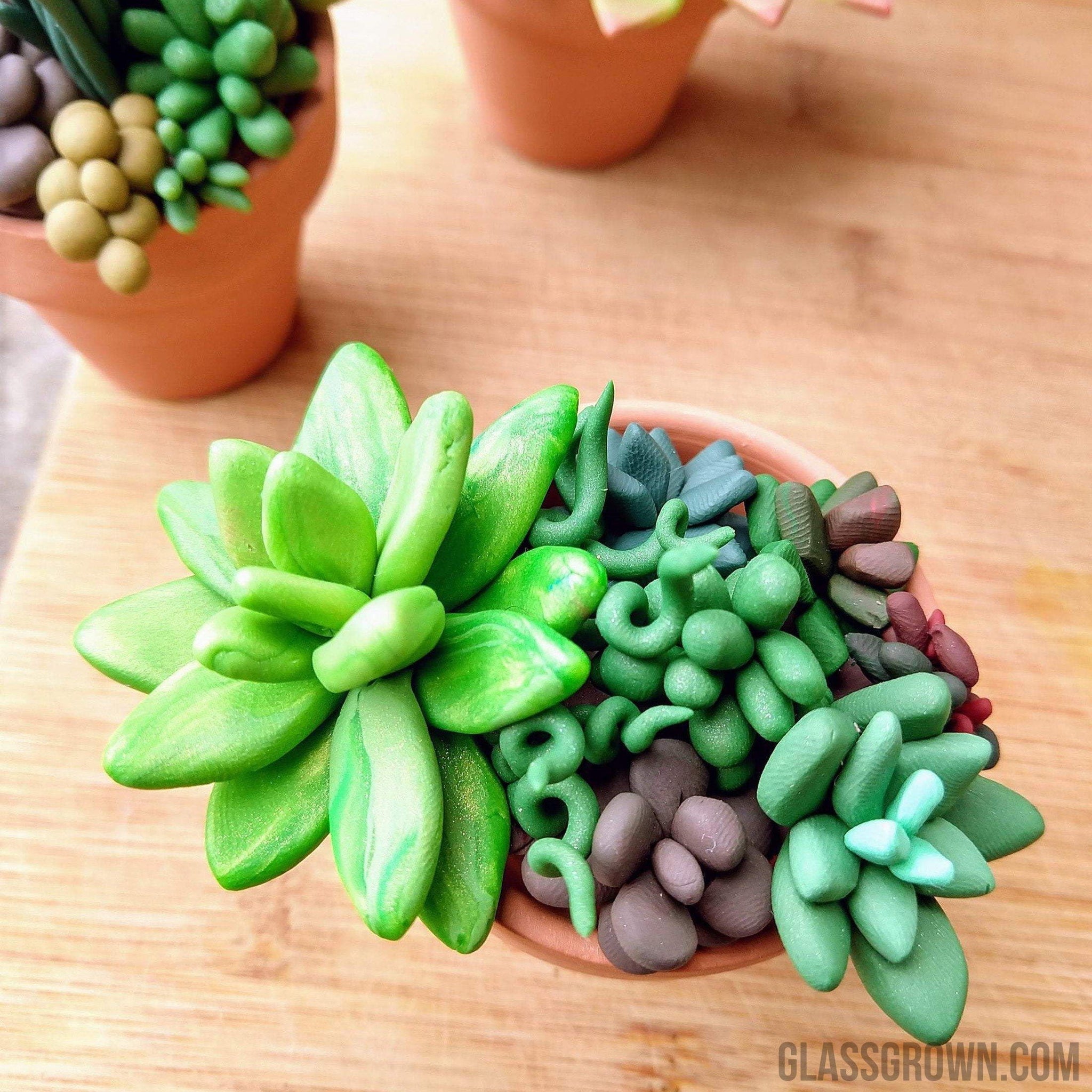 succulent tank Tiny Terra-Cotta Succulent Aquarium Decor – Glass Grown Aquatics