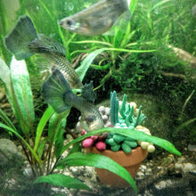 Load image into Gallery viewer, Tiny Terra- Cotta Succulent Aquarium Decor-Aquarium Decor-Glass Grown-Succulent pot only-Glass Grown Aquatics-Aquarium live fish plants, decor
